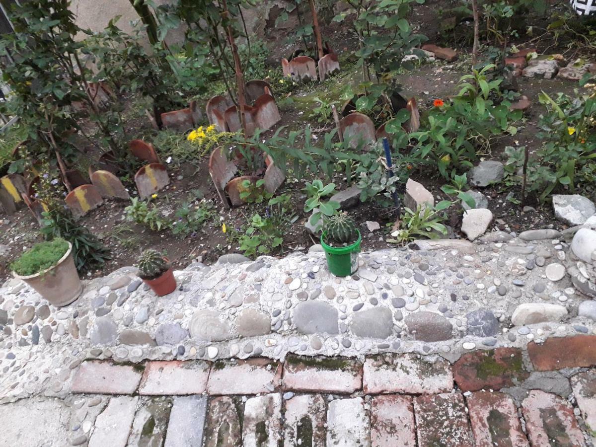 Cozy House II Apartment Tbilisi Ngoại thất bức ảnh